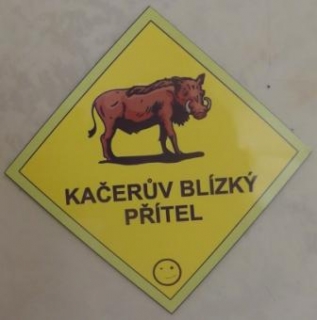 Geocaching přívěsek - divočák